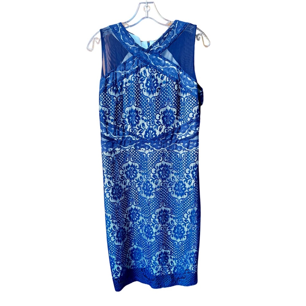 Blue knee length sleeveless dress.